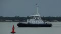 Guerande - estuaire - 10 novembre 2012.JPG